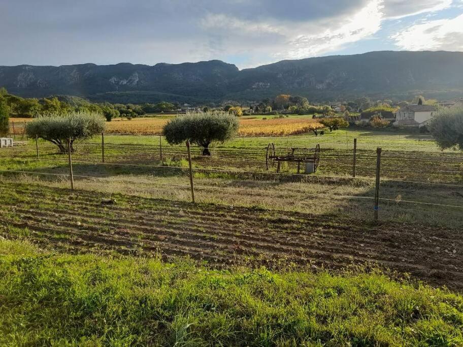 Mas Desire - Luberon - Oppede Villa Bagian luar foto