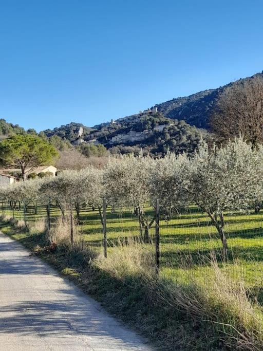 Mas Desire - Luberon - Oppede Villa Bagian luar foto